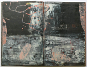 Ward Schumaker