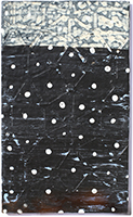 Ward Schumaker