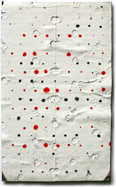 Ward Schumaker