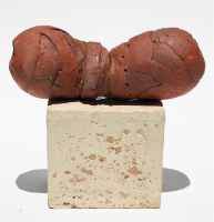 Ward Schumaker